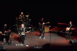 Drive The Cars Tribute