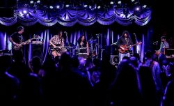 HALF STEP - Grateful Dead Tribute
