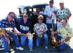The Driftwoods -Beach Boys tribute